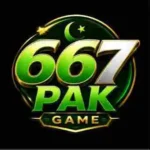 667pak game