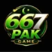 667pak game